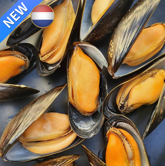 golden-mussels-in-superior-sauce-delicasea-food-market